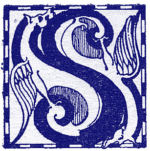 Illustrated letter S