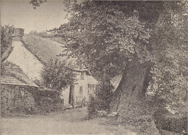 A black and white photograph, provided by Chas. J. Clark, publisher, of the Well of St. Keyne.