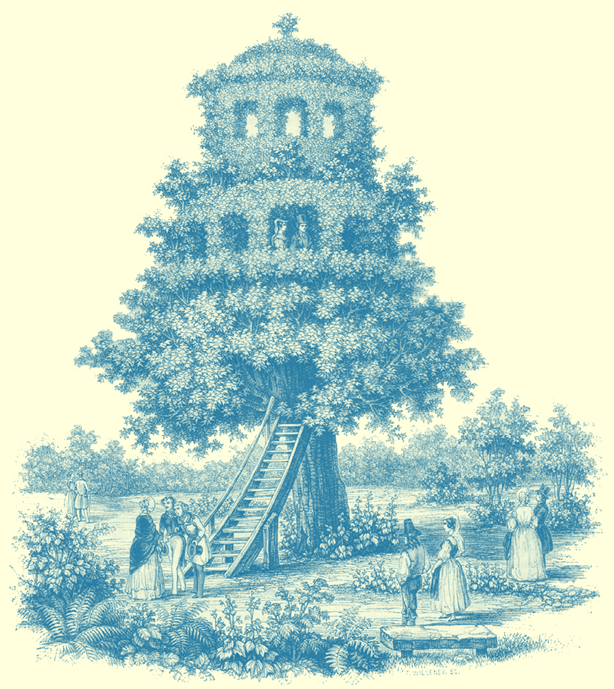 Black and white engraving, signed by F. Weisener, of large tree shaped into a tree house or arbre-belvedere, with two stories.  Two people are on the first story at one window.  There is a stairway, wooden, from the ground to the start of the leaves.  Several people, male and female are on the ground in the fashions of the period, 1843.