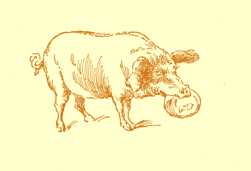 Black and white pencil sketch, by Moyr Smith, of a pig with a pancake in his mouth. 