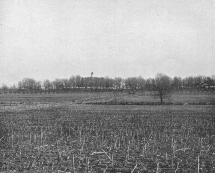 Black and white photograph of Seminary Ridge, showing a flat field, with stalks of plants and a row of trees in the distance.