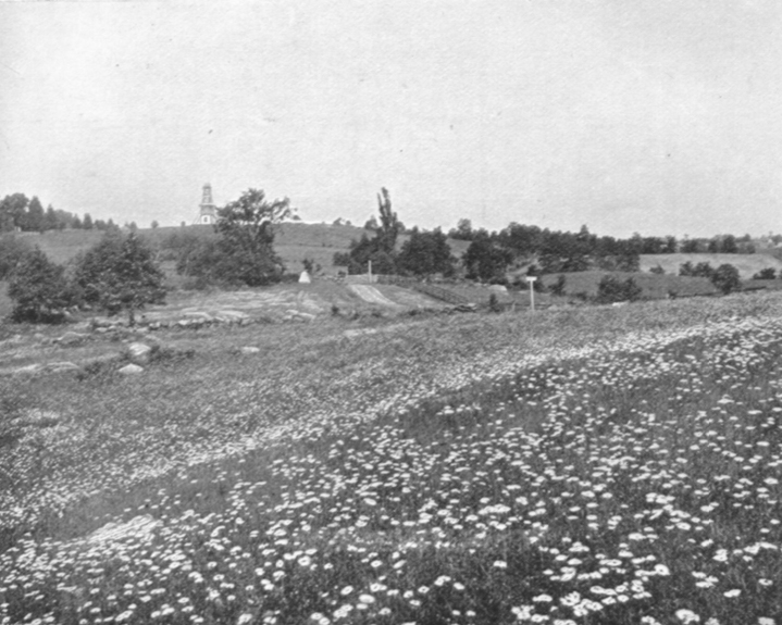 Black and white photograph of Cemetery Hill, Gettysburg, PA, showing a flat field with wild flowers and and a slight rise of the land to a very small hill or ridge in the distance.