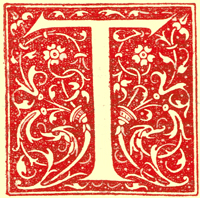 Decorated letter T