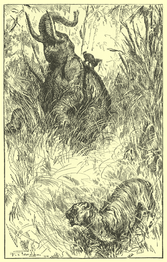 Black and white pen and ink drawing by F. H. Townsend, of a trumpeting elephant with a Mouse deer on his back, with strands of fiber in its mouth.  A lion looks on from the grass before them.