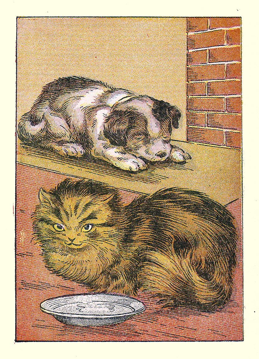 A Long Haired Tabby lying in front of a bowl of milk, with a sleeping puppy behind her. 